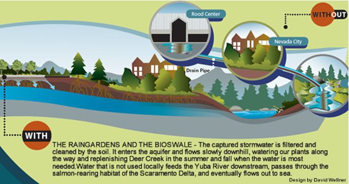Raingarden Diagram