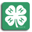 4-H Icon