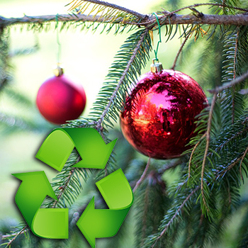 Christmas Tree Recycling NewsFlash2