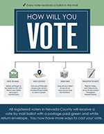 How Will You Vote - thumbnail