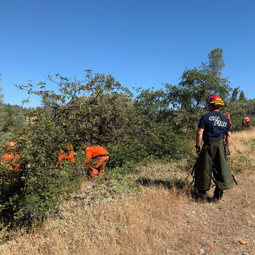 Work Begins on Ponderosa West Project