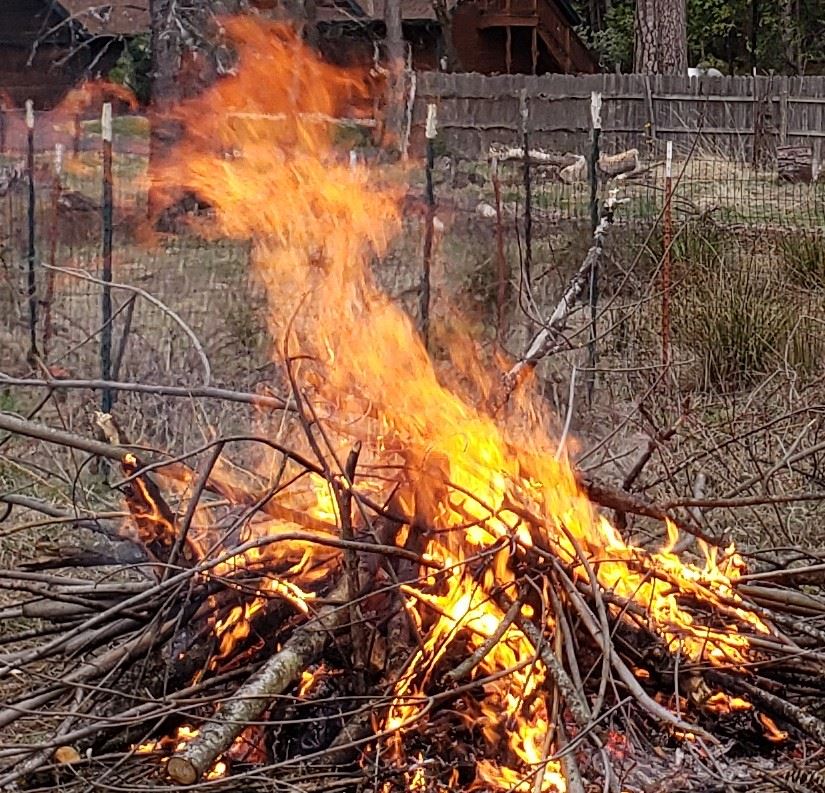 Cropped Burn Pile