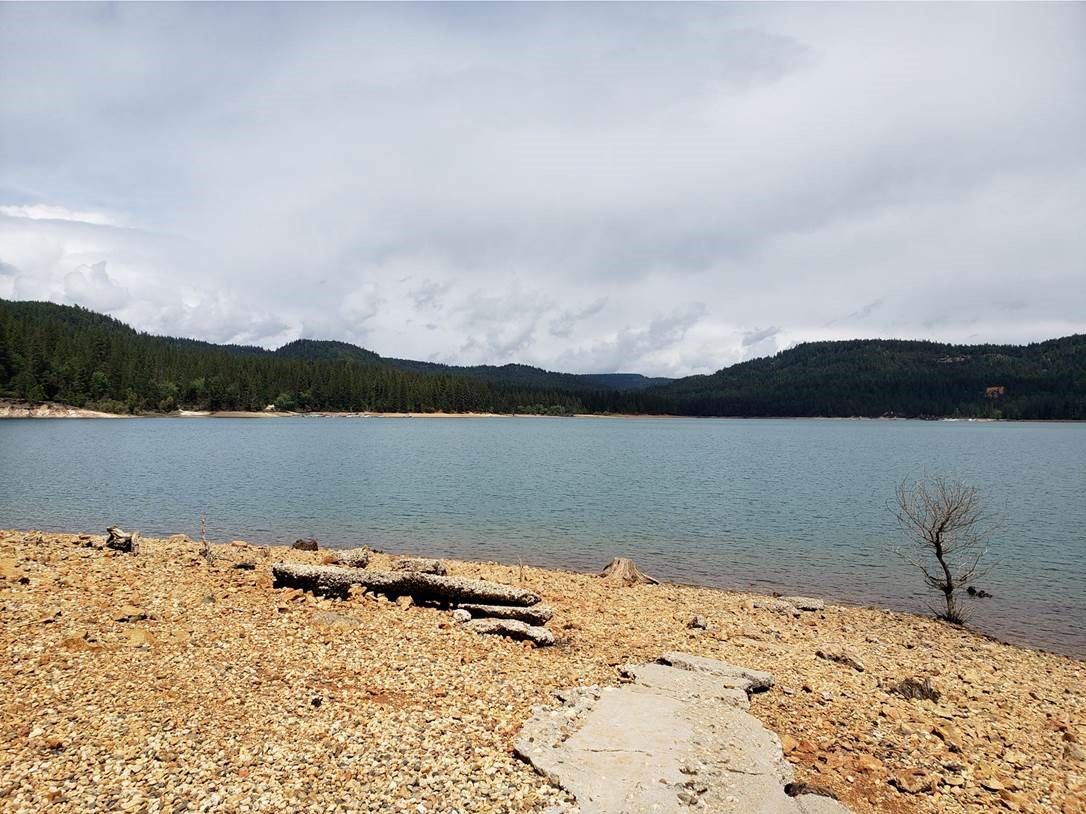 Low Water at Scotts Flat