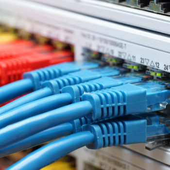 Network Cables