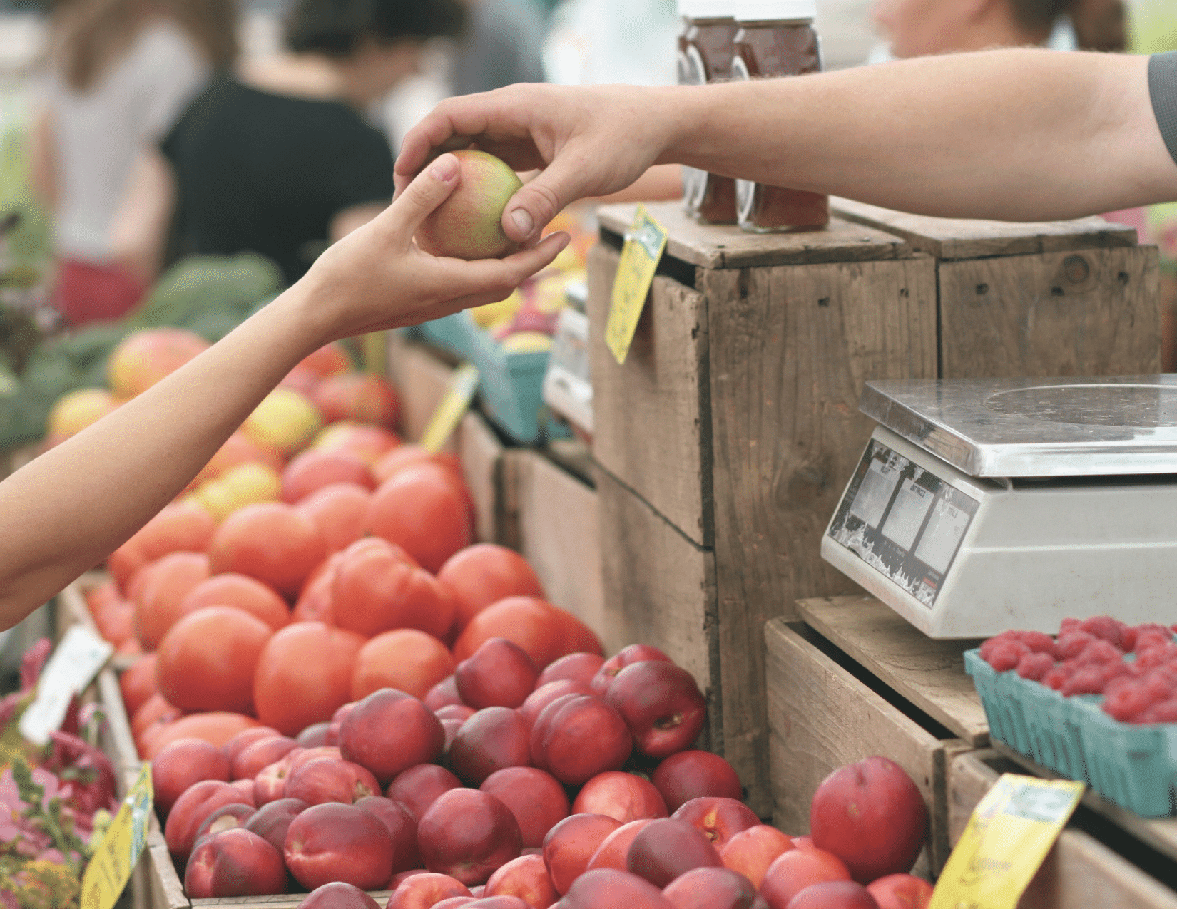 Farmers Market Booth a person is buying fruit from the vendor, beautiful produce on the table.