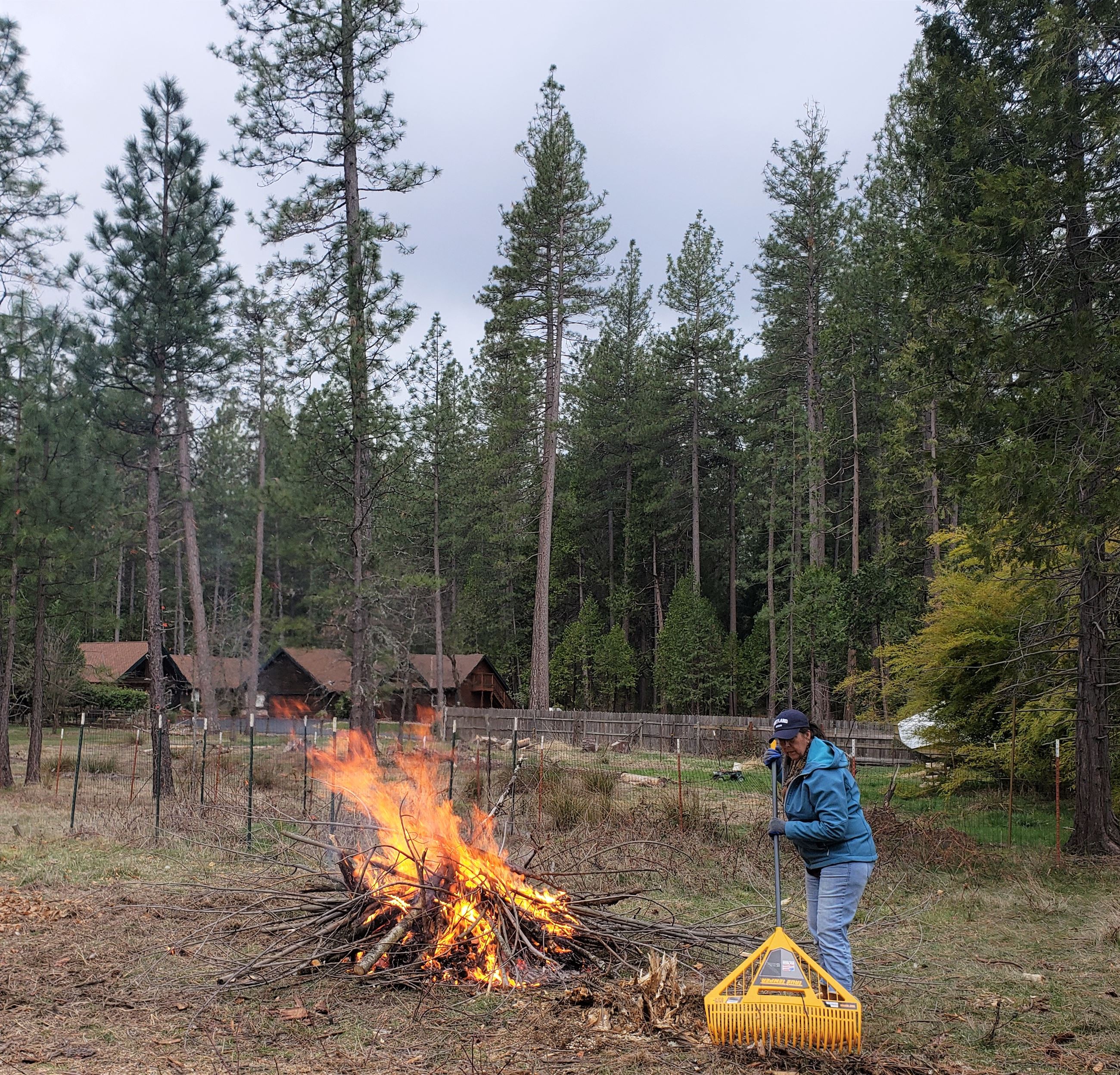 Residential Debris Burn