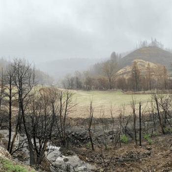 River Fire burn scar in November 2021