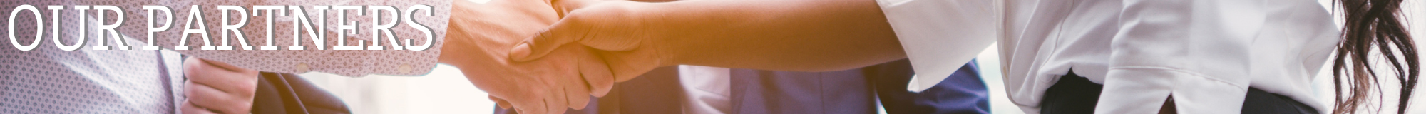 Title Banner displaying "Our Partners" and showing image of people shaking hands