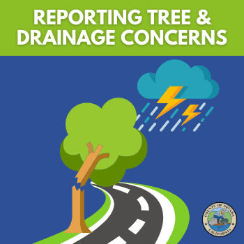 Reporting Tree and Drainage Concerns, cloud hovers over broken tree that leans over a roadway.