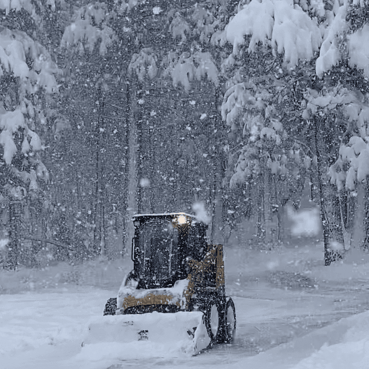 snow-bobcat close up