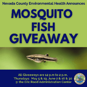 Mosquito Fish Giveaway