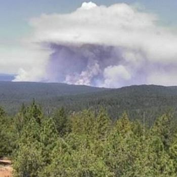 Mosquito Fire image smoke in forest