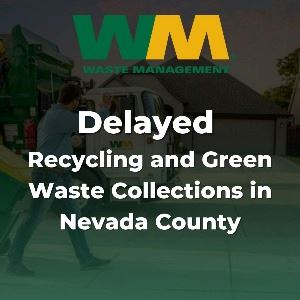 Delayed Recycling and Green Waste Collections