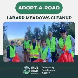 CDA Adopt-a-Road LaBarr Meadows Clean-up