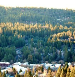 Micro-Grants to Local Firewise Communities