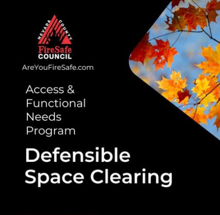 Access and Functional Needs