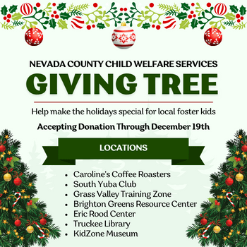 Giving Tree Program illustration with holiday tree and decorations