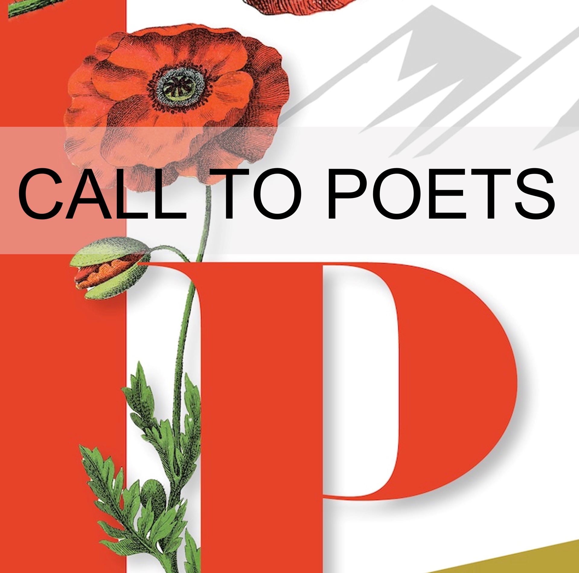 A red poppy on a white background. Text reads: call to Poets