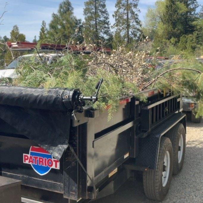 A large black trailer filled with branches and other green waste