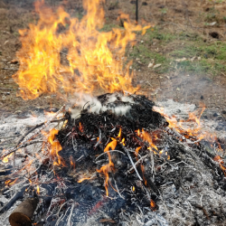 Residential Burn Pile Permit Required Nevada County