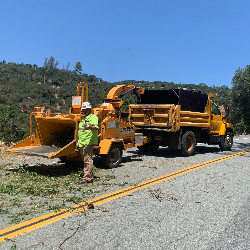 Nevada County Abates Hazardous Roadside Vegetation 