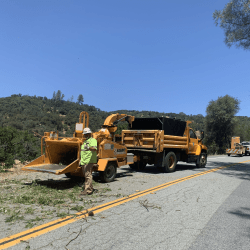 Nevada County Treats Hazardous Roadside Vegetation 1