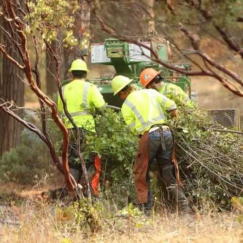 Ponderosa West Grass Valley Defense Zone The Union