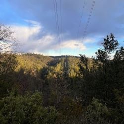 Woodpecker Ravine Grass Valley Shaded Fuel Break
