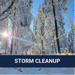 Winter Storm Hazardous Vegetation Cleanup