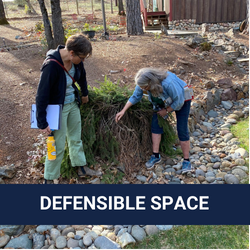 Defensible Space for Seniors and People Living with Disabilities