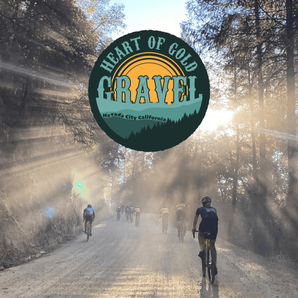 A bike rider on a dirt road rides into the sunlight