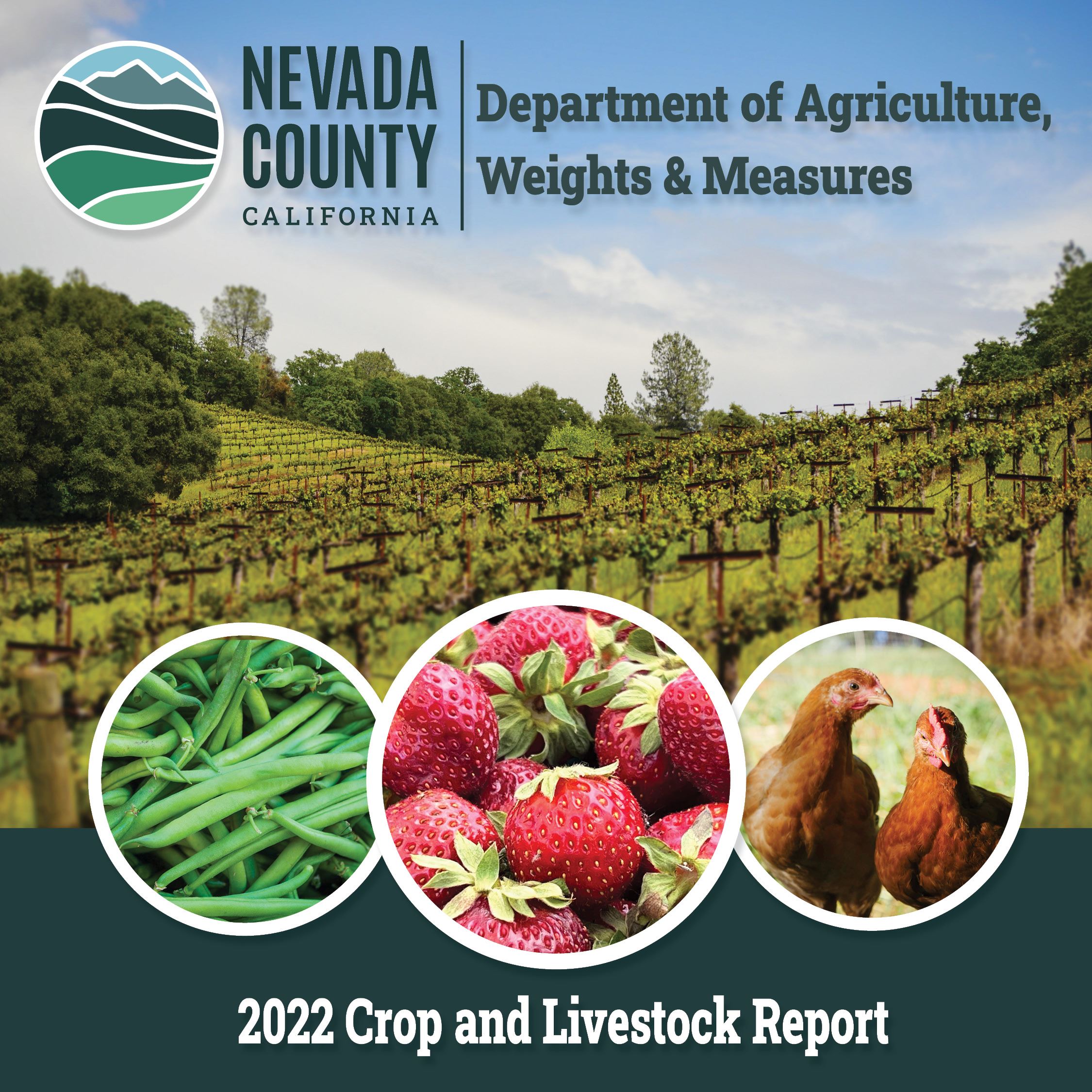 Department of Agriculture, Weights & Measures 2022 Crop and Livestock Report