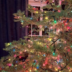 Nevada County Christmas Tree Fuels Reduction