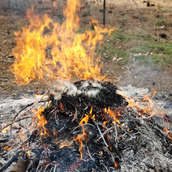 Nevada County Burn Suspension Lifted Burn Pile