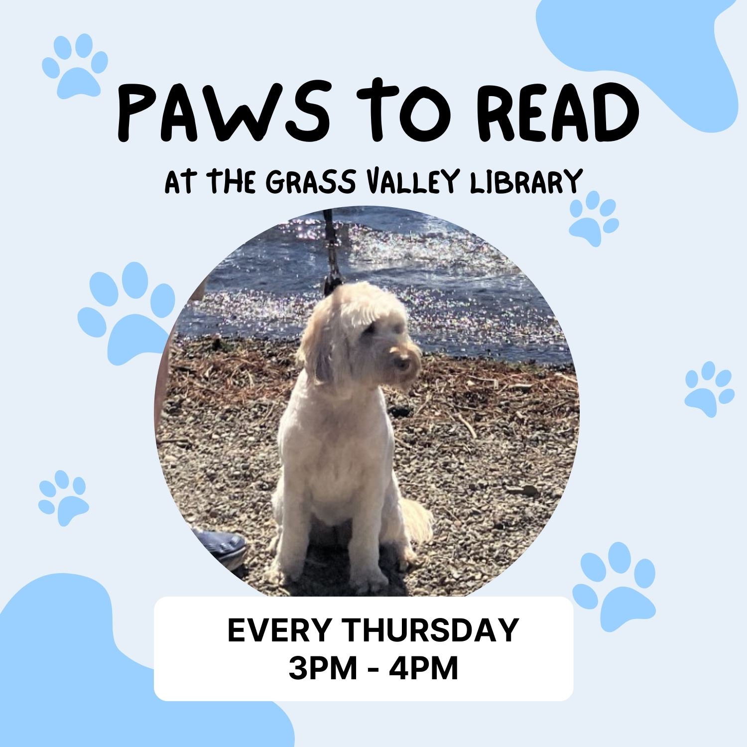 Grass Valley Library Paws to Read