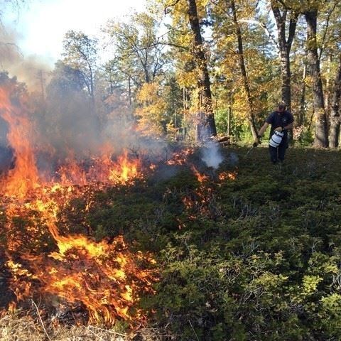 Jackass_Flats_Micro_Grant_Round_1