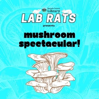 MUSHROOM SPECTACULAR 