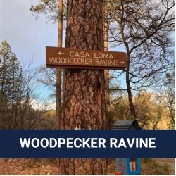WOODPECKER RAVINE