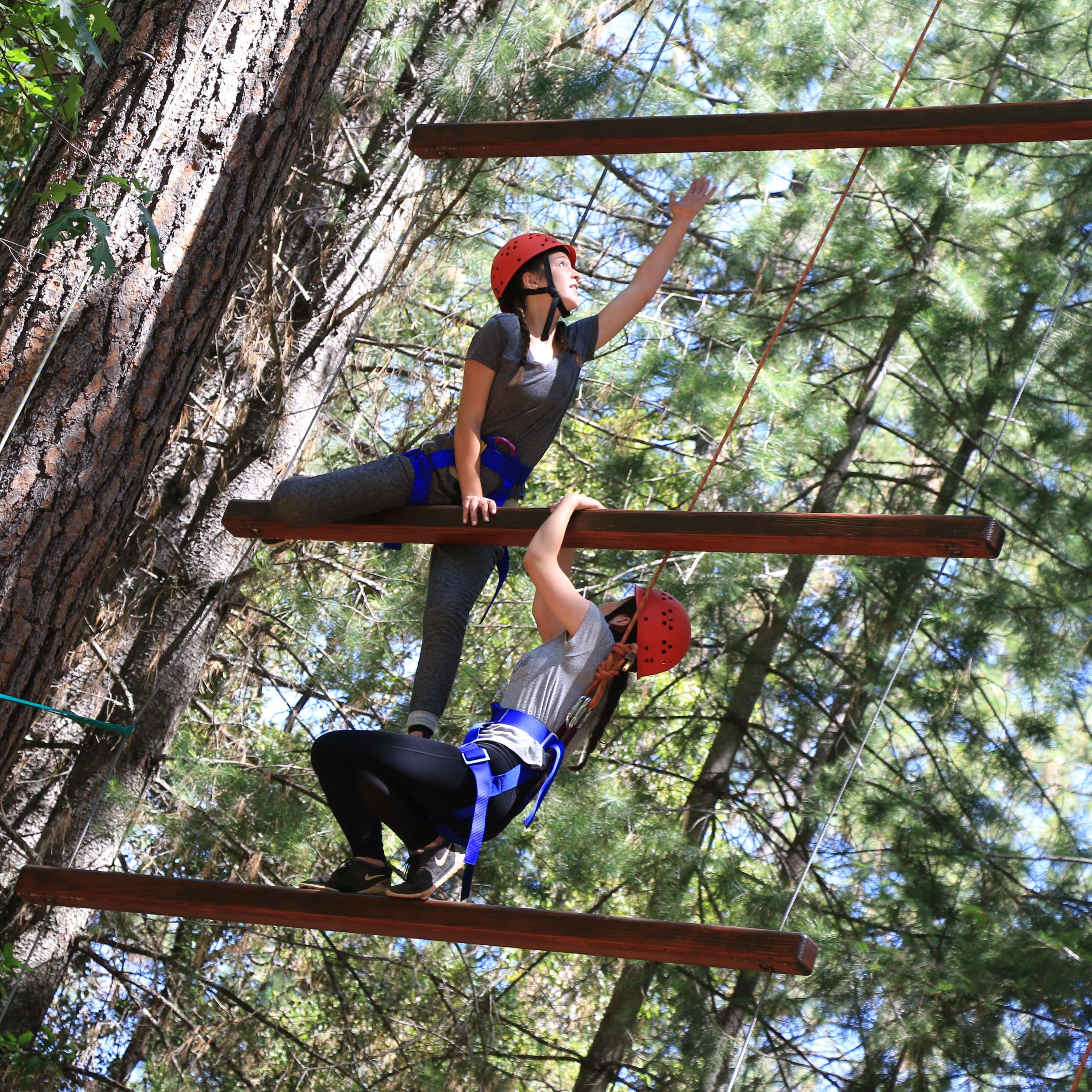 Synergia Friendship Ladder ropes coruse_NewsFlash