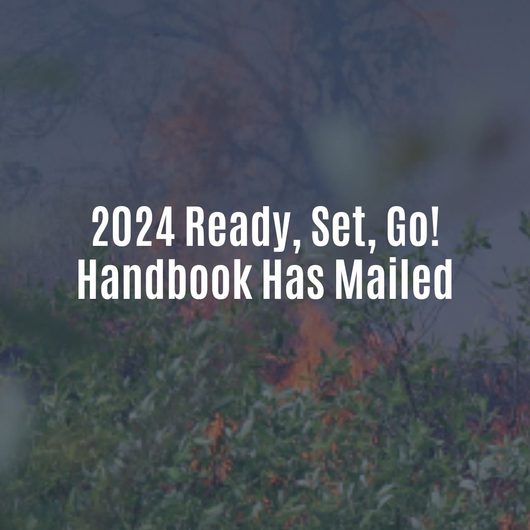 Ready Set Go NewsFlash