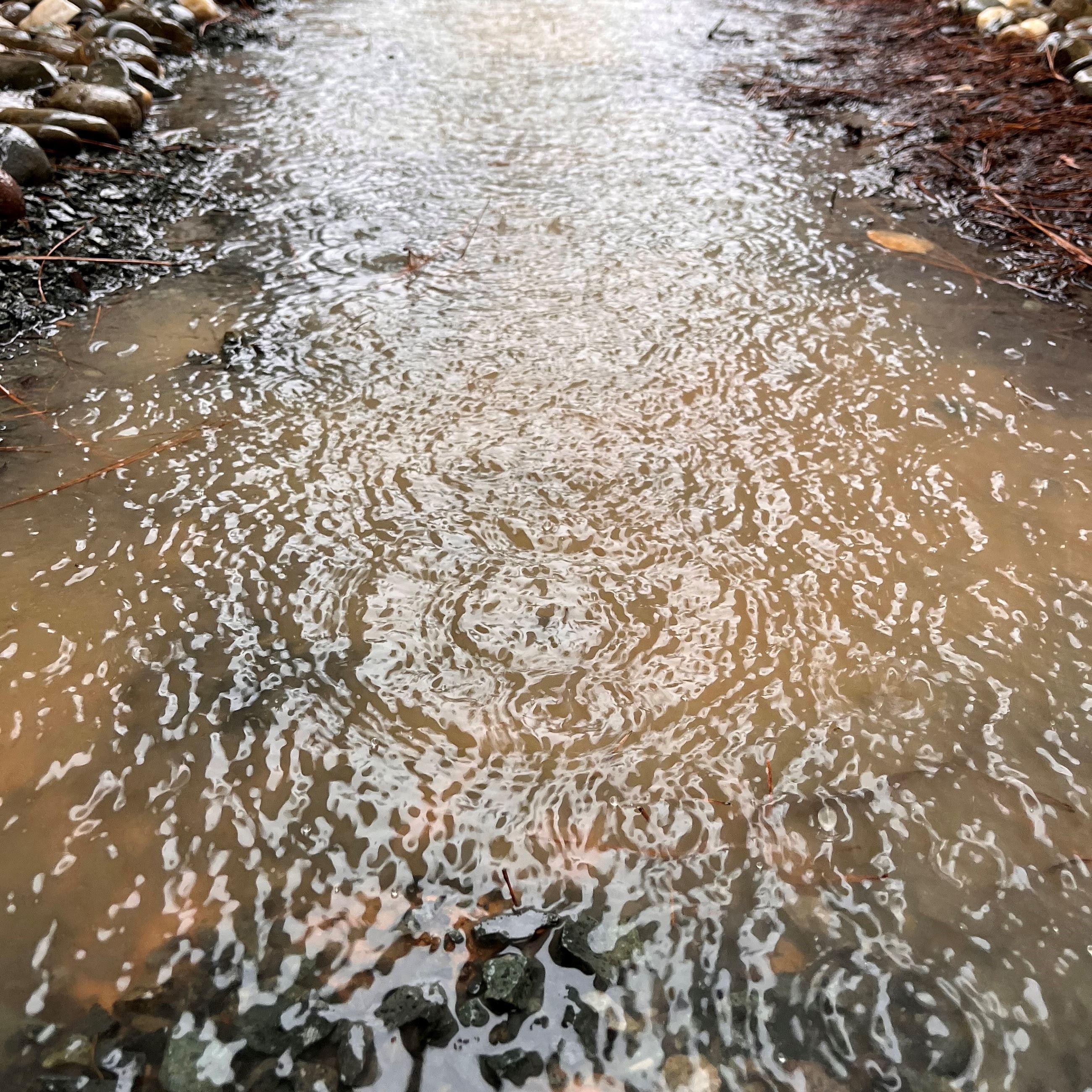 Puddle in a Residential Area in Nevada City 