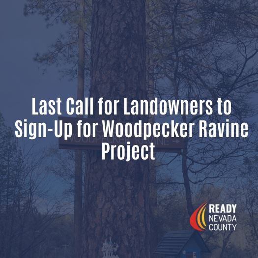 NewsFlash_Woodpecker