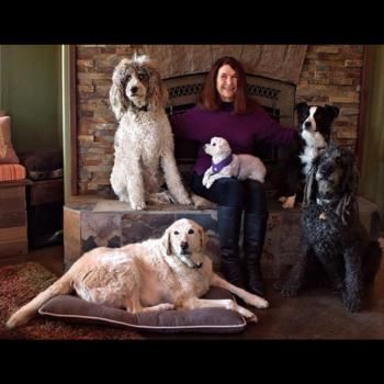 Ursela Rabe press newsflash