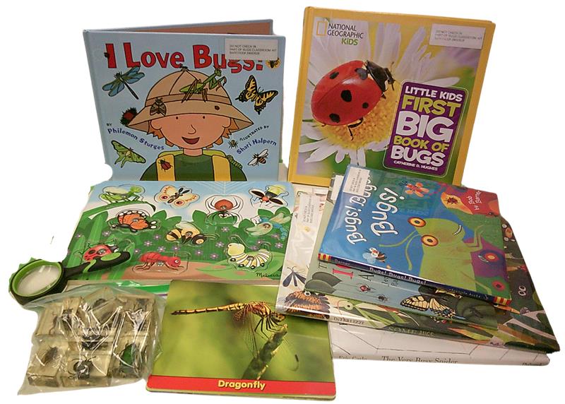 bug-themed children's toys and picture books
