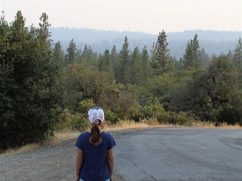 Kid looks out into distance on a smokey day in front of a road and pine trees. 