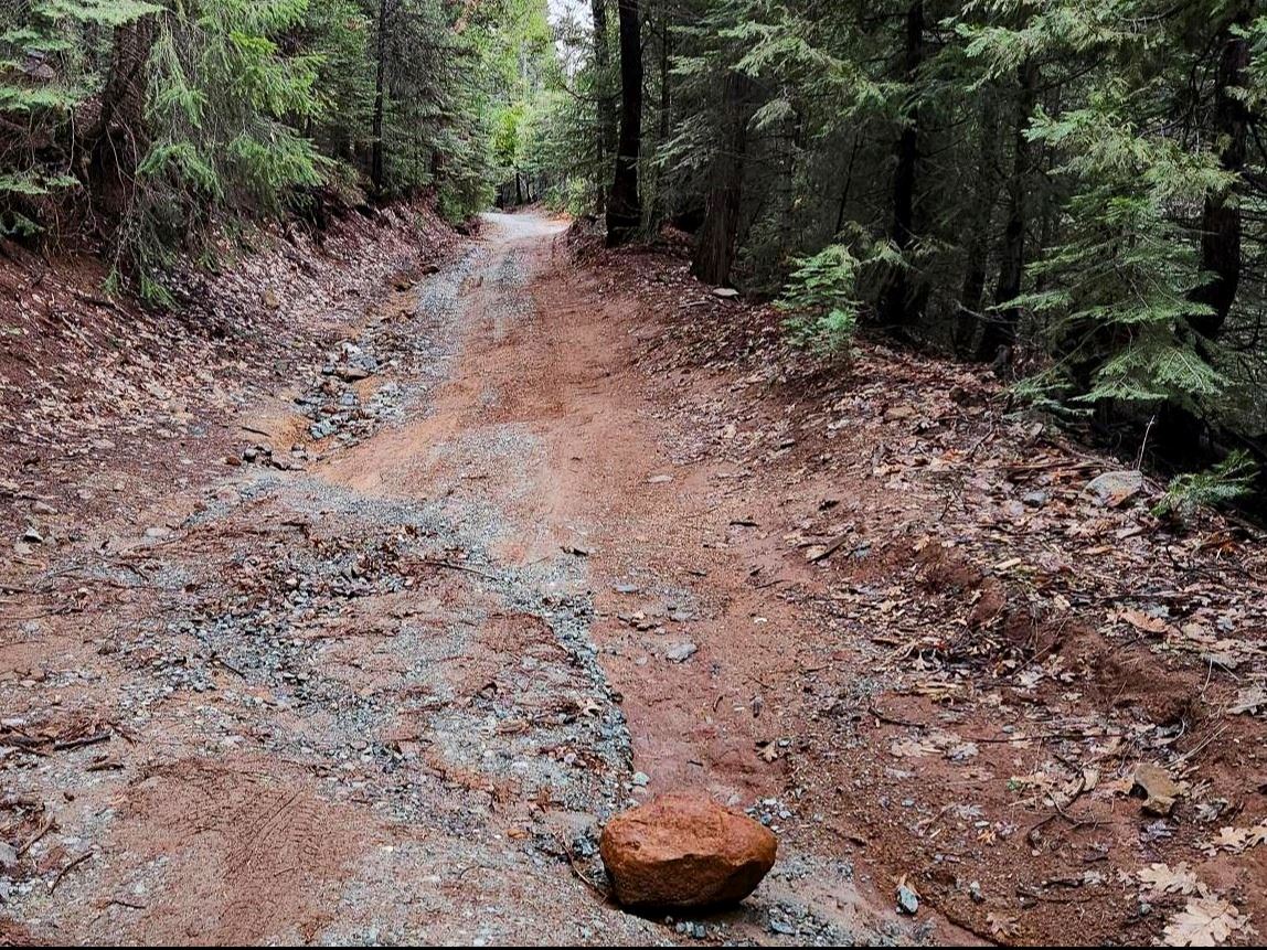 Cassi Road with mud and rocks with pine trees on both sides of the road. 
