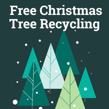 FREE Christmas Tree Recycling