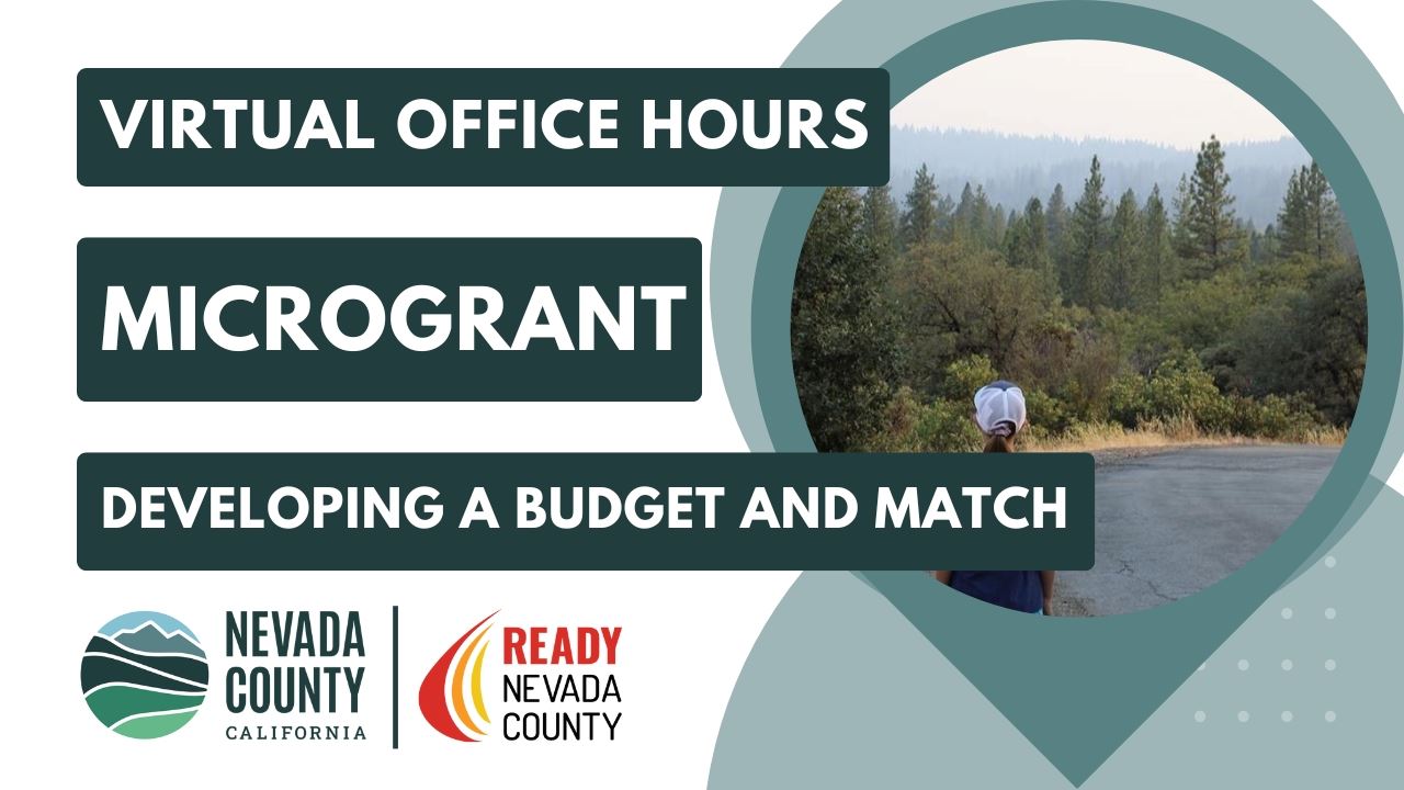 Developing a Budget and Match 