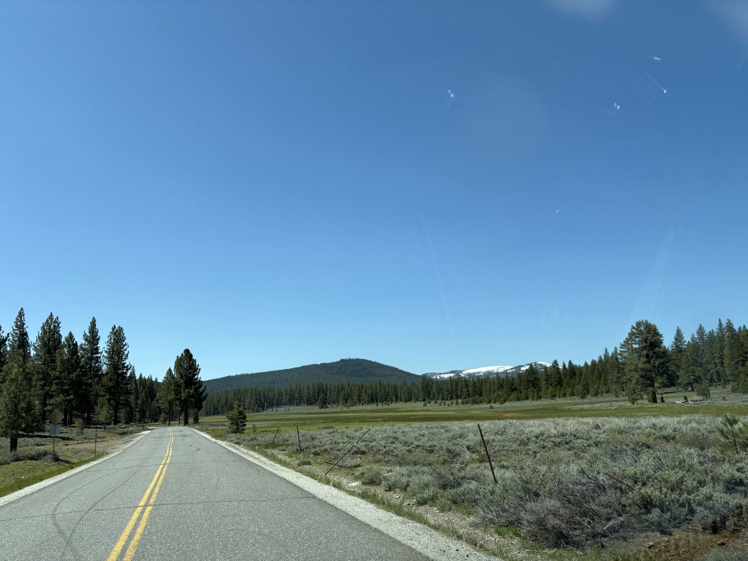 Truckee Road with Pines and snow capped mountains