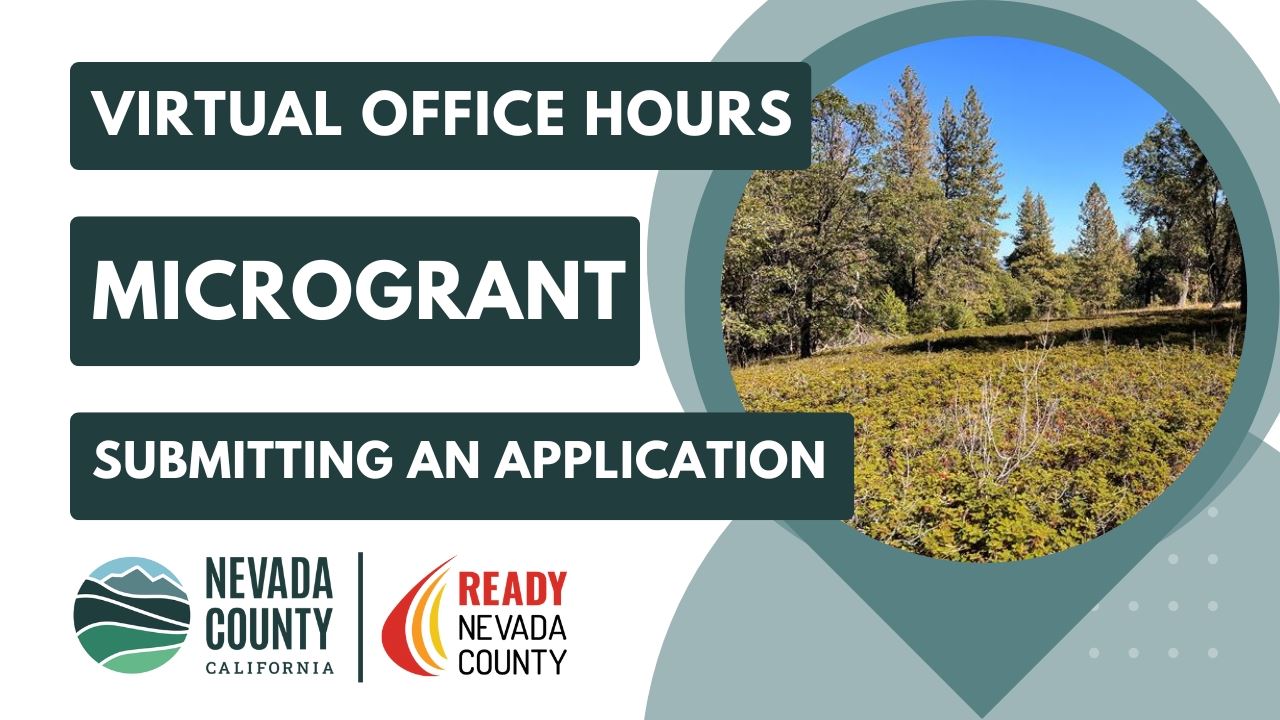 Submitting an Application 